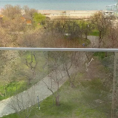Zeita Din Bel-air, Nord Mamaia